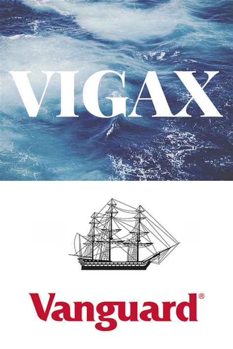 vigax review|is vigax a good fund.